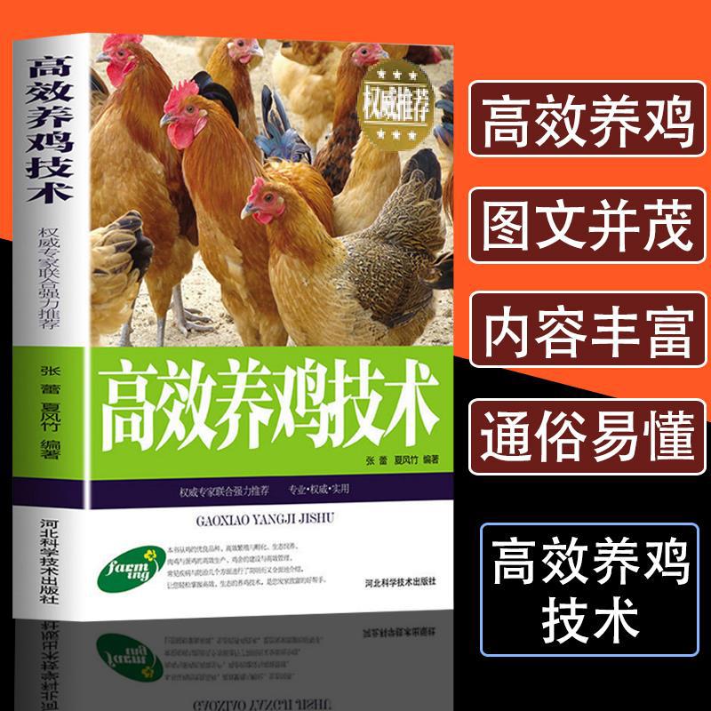 批发正版养殖书 养鸡养牛羊术病理鉴别诊断图谱及用药技术书+杨