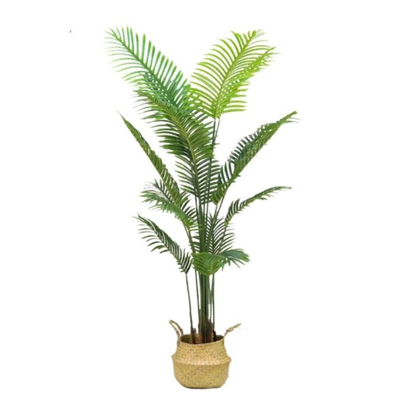 现货凤尾葵落地室内绿色家居摆件大型绿植贵妃葵仿真盆栽散尾葵