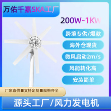 水平轴风力发电机SS200W-1000W海外仓一件代发小型风力发电机全套