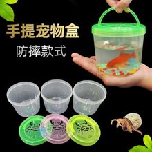 金鱼盒子儿童手提小鱼桶蟹桶乌龟盒耐摔透明鱼瓶龟瓶捞鱼桶斗鱼杯