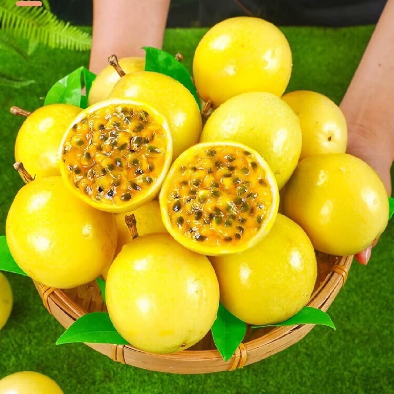 广西高端纯甜钦蜜9号黄金百香果新鲜当季孕妇黄皮色爆甜-阿里巴巴