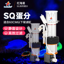 红海星SQ迷你蛋分蛋白质分离器海水鱼缸过滤器SQ50 DCSQ7090