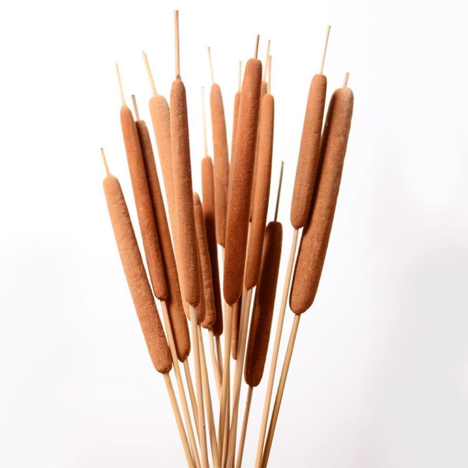 天然干花枝蒲棒干花 水蜡烛 居家餐桌茶几花瓶插花 文艺复古装饰