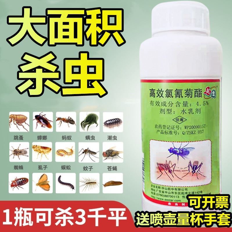 高效氯氰菊酯灭蚊药水灭蝇药蟑螂杀虫剂喷雾蚊子药灭蚊蝇药水