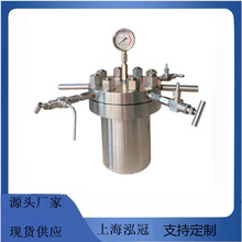 厂家直供实验室小型高压不锈钢高压釜 小型电加热搅拌反应器
