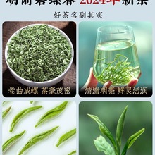 春茶春茶绿茶2024喝毛尖明250g自己前浓香高山新茶碧螺特级嫩芽碧