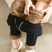 北极绒特厚卫裤2023女士休闲裤子冬季高腰外穿加绒卫裤显瘦运动裤