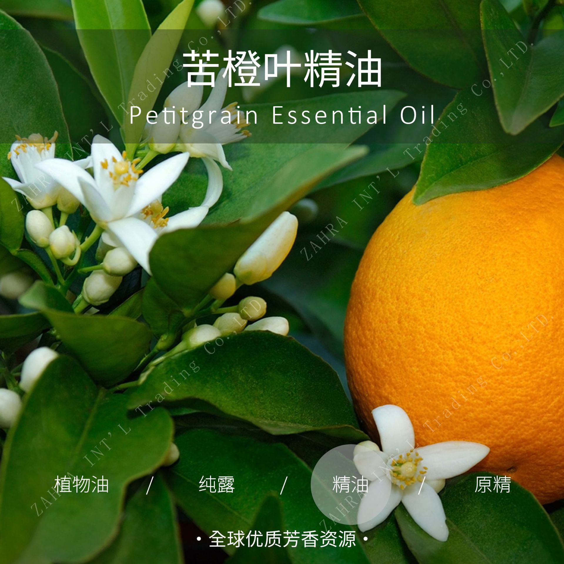 意大利 | 苦橙叶单方精油-阿里巴巴