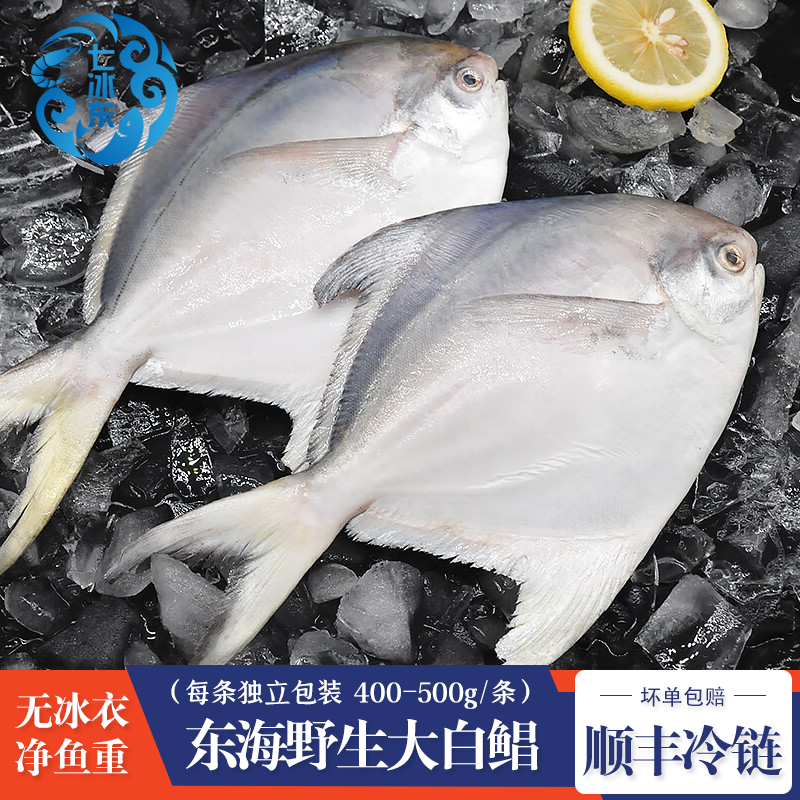 ii东海大白鲳新鲜海捕特大号银鲳鱼白鲳鱼无冰衣平鱼海鲜生鲜 鱼
