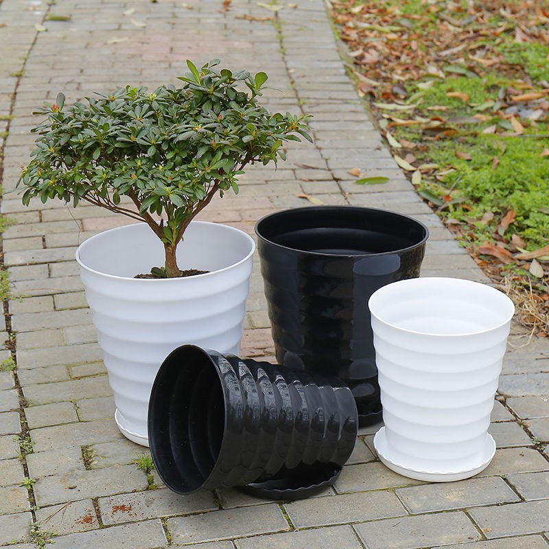 螺纹大号塑料花盆大型盆栽绿植落地简约仿陶瓷高筒黑白特大横纹盆