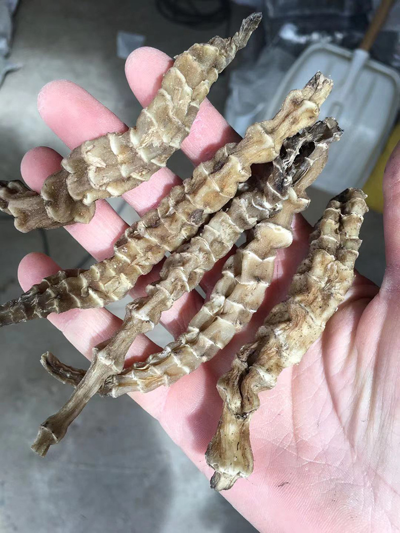 江湖地摊展销会云南地参 散装新货煲汤泡酒料虫草参厂家供应