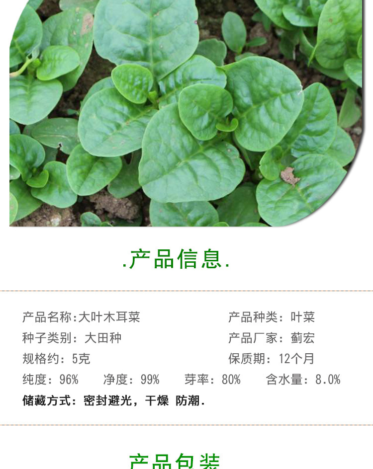 大叶木耳菜种子 农田菜地种植叶片肥厚大叶木耳菜