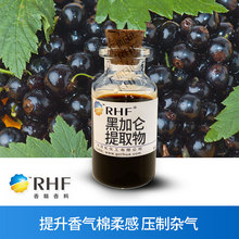 RHF烟用香料 黑加仑提取物 增加果甜香气 压制杂气 黑加仑提取物