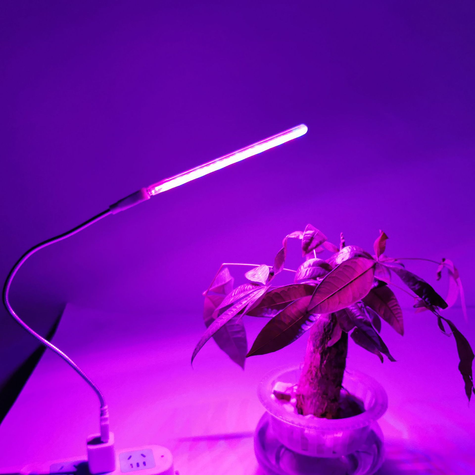 usb led植物生长灯多肉花卉盆栽种植植物补光灯台灯红蓝光紫光