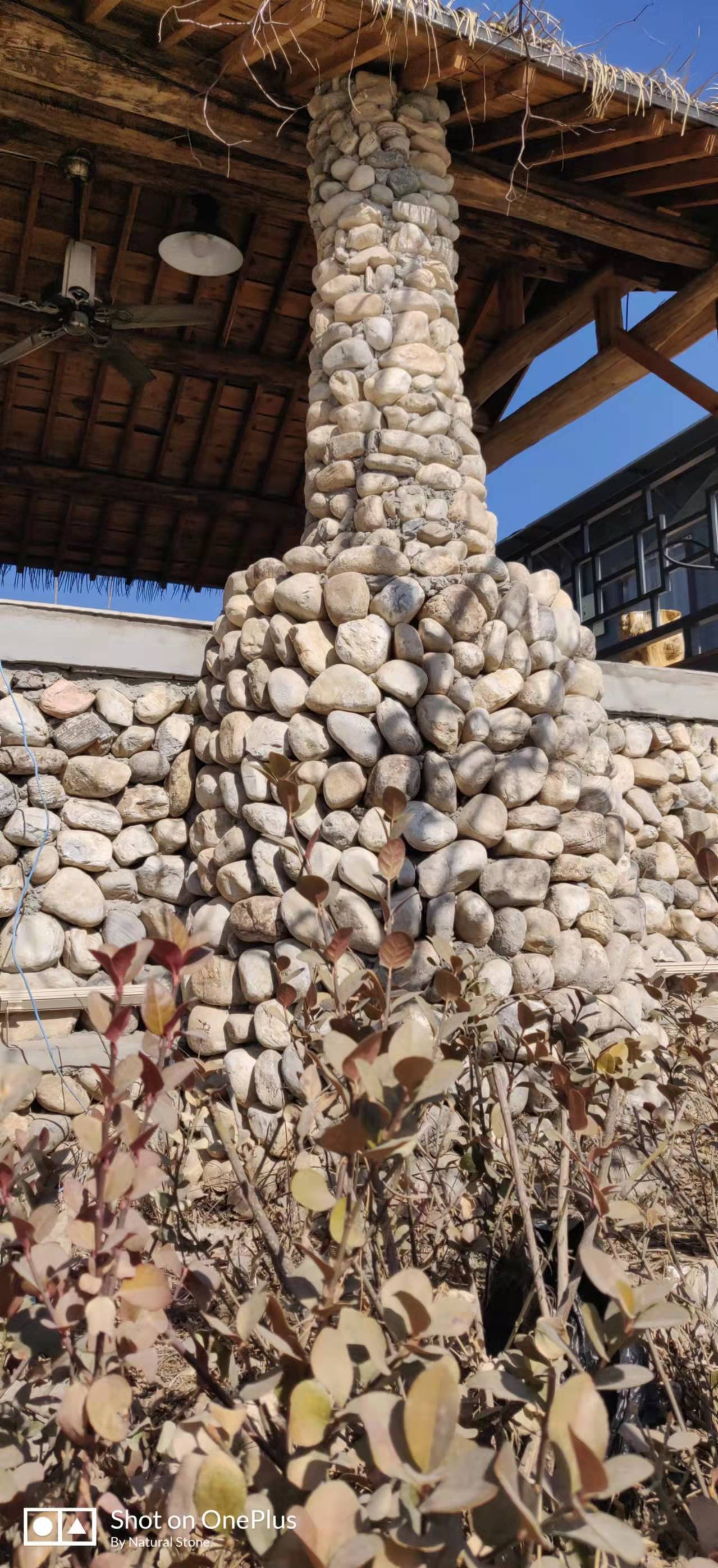 河卵石 河岸石笼 石笼网河卵石 河道石笼石 岸边石笼石树坑造景石