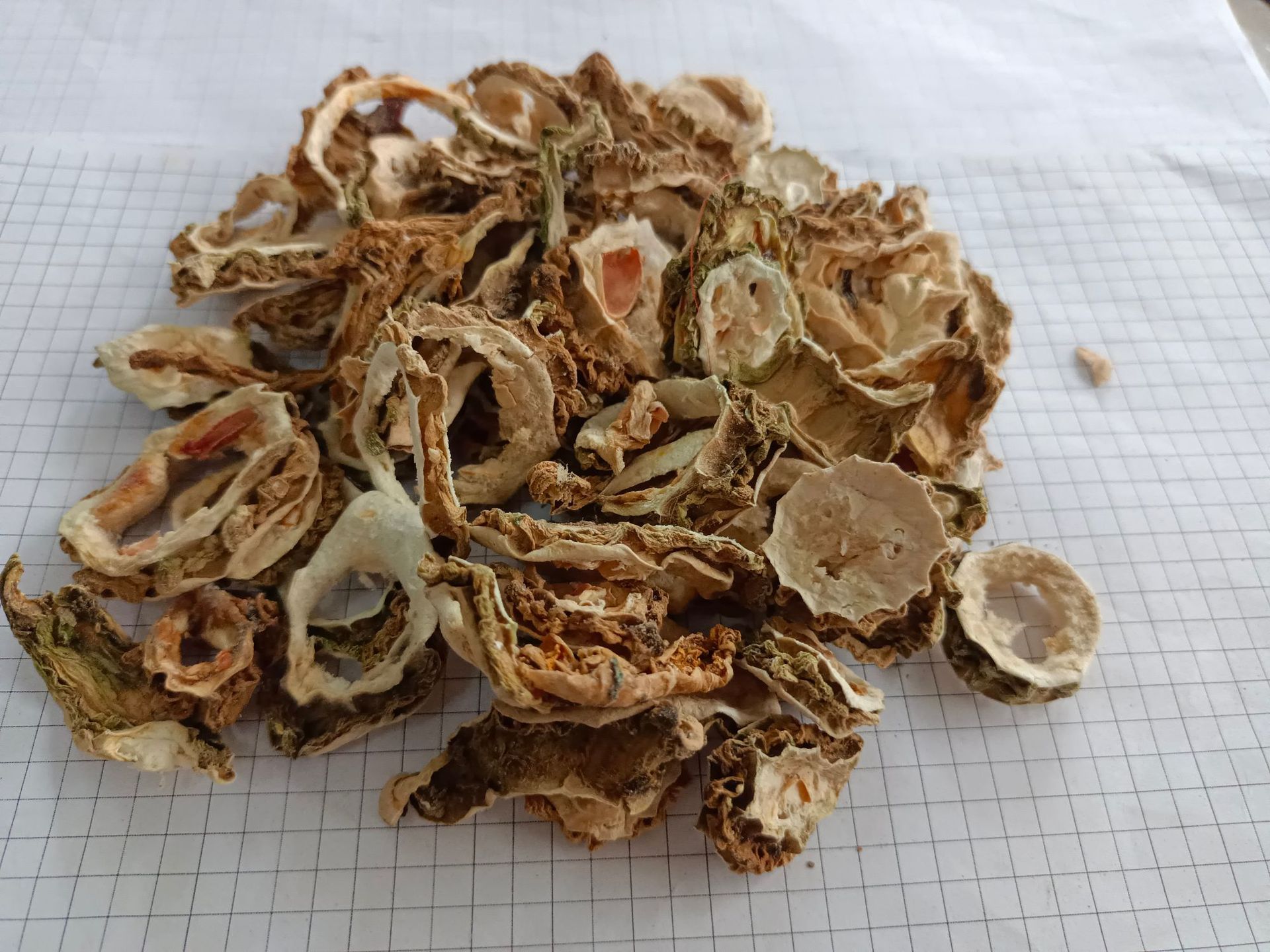 苦瓜kugua产地广西玉林8月产新20元每公斤包邮锦荔枝癞葡萄红姑娘