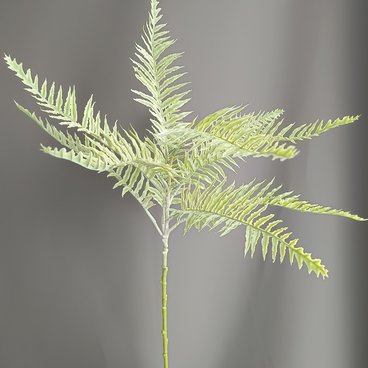 仿真软胶植物波斯草小单枝蕨叶蕨草 家居样板间酒店婚庆景观装饰