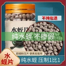 水蛭粉压片胶囊水蛭片冻干粉片野生材清水吊杆菲牛蛭蚂蟥