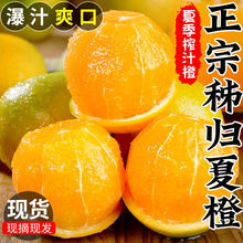 现摘秭归夏橙1/10斤新鲜皮薄当应季水果橙超甜脐橙甜橙子整箱包邮