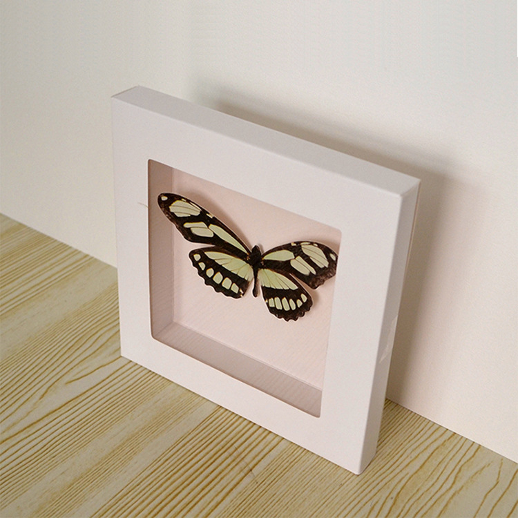 立体相框 纸质 a4画框 花标本衍纸画框小学幼儿园diy手工开窗