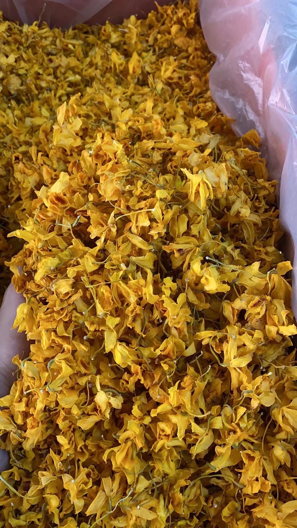 南君七批发云南铁皮石斛花 石斛干花鼓槌石斛花 花茶花草茶石斛