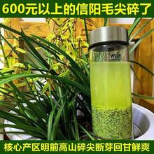 信阳毛尖2022新茶叶散装碎茶明前高山断芽茶末浓香口粮茶500g包邮