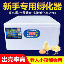 孵化器温控仪小型家用迷你孵化机鸡鸭鹅鸽蛋保温箱水床孵蛋器一件