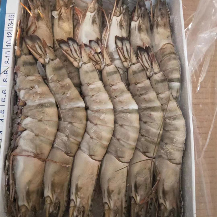 野生黑虎虾竹节虾 新鲜低温冷冻斑马大虾精选电商专卖款