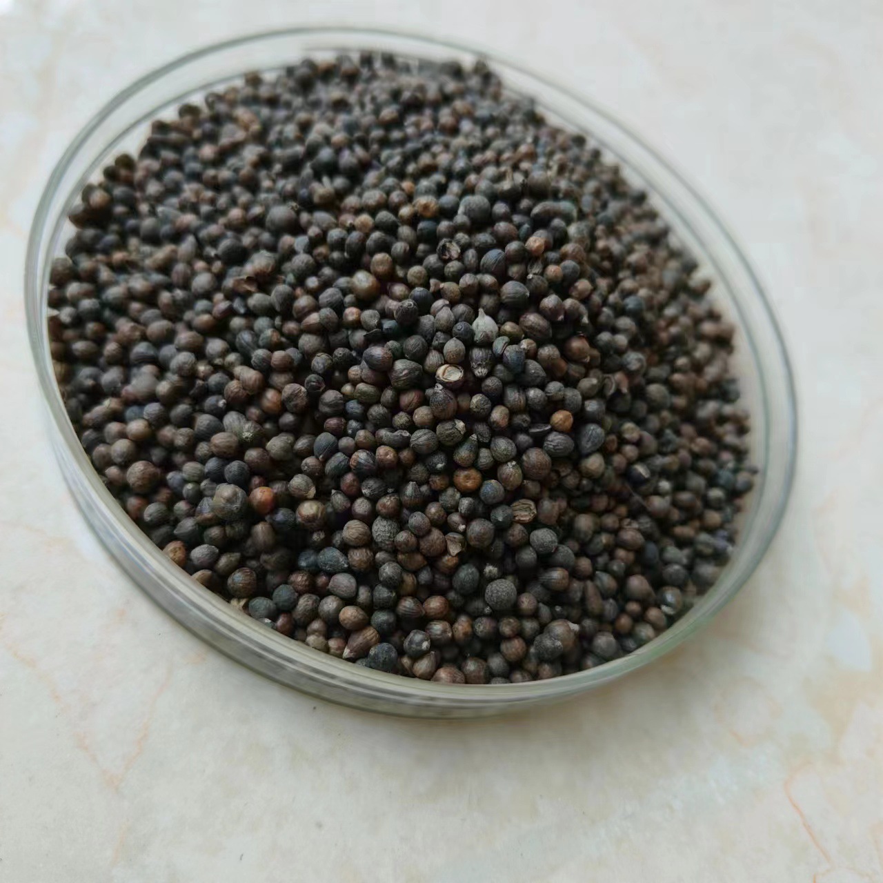 英晗药业黄荆子 牡荆籽 布荆子黄金子量大从优 批发冷背奇中药材