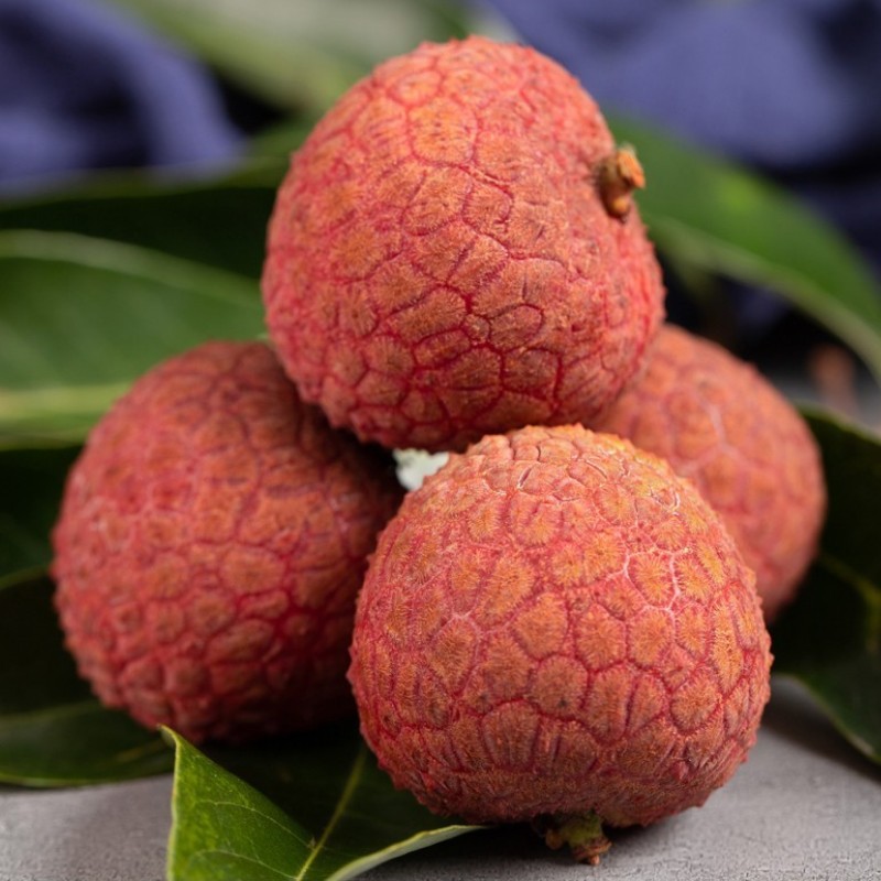 福建黑叶荔枝6斤乌叶荔枝产地冷链直发应季生鲜水果新鲜现摘批发