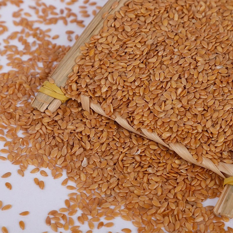 现货供应精品黄亚麻籽 油料亚麻籽 黄金亚麻籽 黄金油麻 熟亚麻籽