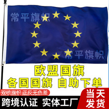 DANF 欧盟国旗出口跨境旗帜100D涤纶双面旗子双喷无色差帆布头