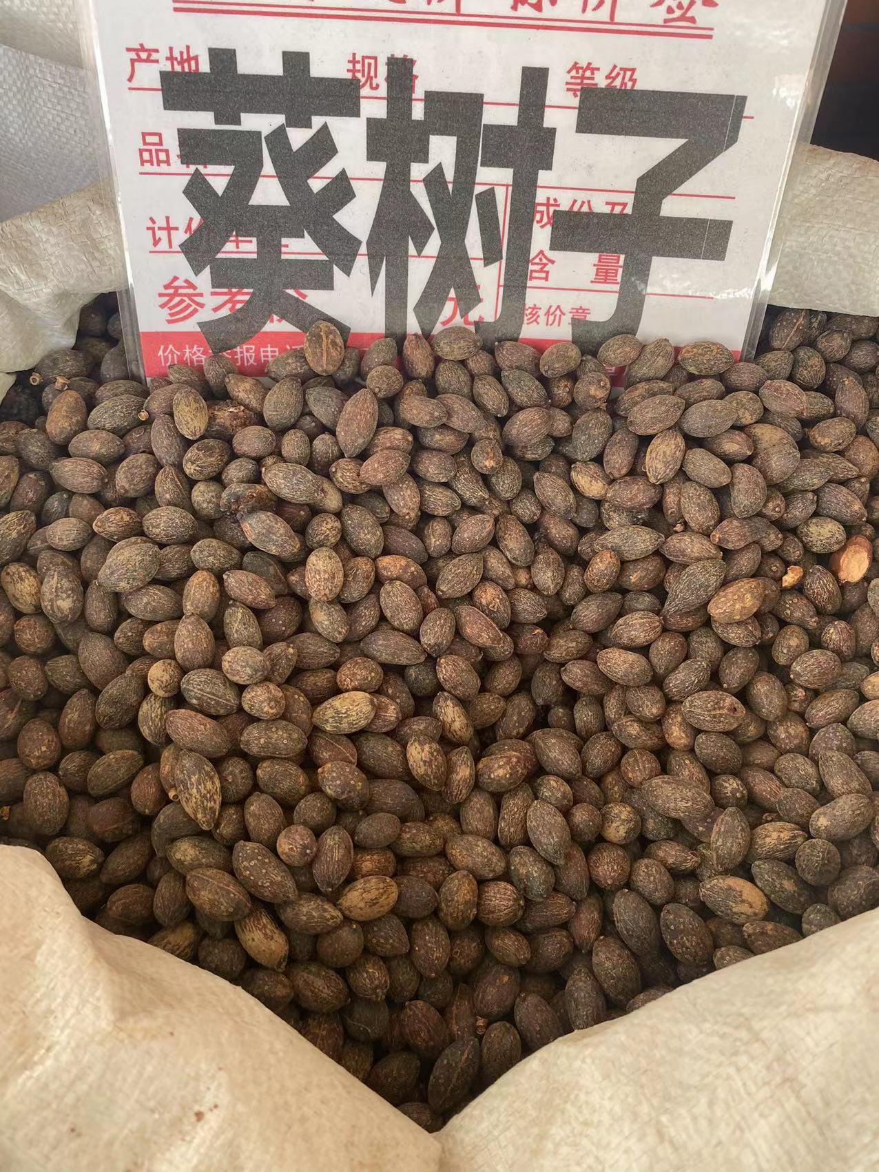 葵树子的功效与作用(葵树子有散结作用吗)