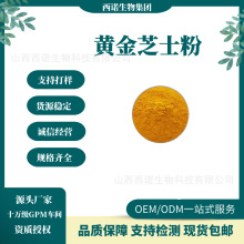 黄金芝士粉99% 西诺生物 食品级 蛋糕面包曲奇饮品等食用原料