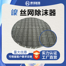 惠泽蓝海生产厂家加工镍材质丝网除沫器除雾补沫器