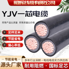 昭辉电缆yjv 1芯2芯3芯电缆线 3x10电缆  50 95 150 185电缆线