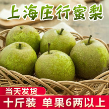 现摘上海庄行翠冠蜜梨子新鲜10斤大果雪梨青皮焦溪当季水果一整箱