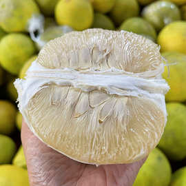 桂林阳朔老树沙田柚5斤/9斤 新鲜水果柚子