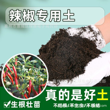 辣椒专用土花土绿植黑土花肥泥土营养土植物有机农业种花果蔬肥料