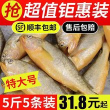 新鲜深海大黄鱼宁德黄花鱼1-5斤非东海黄鱼现捕现发鲜活冷冻顺丰