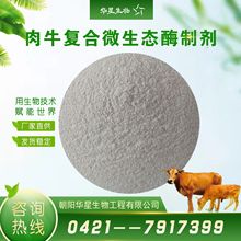 华星生物 肉牛多复合菌酶制剂 牛用多复合酶芽孢杆菌饲料添加剂