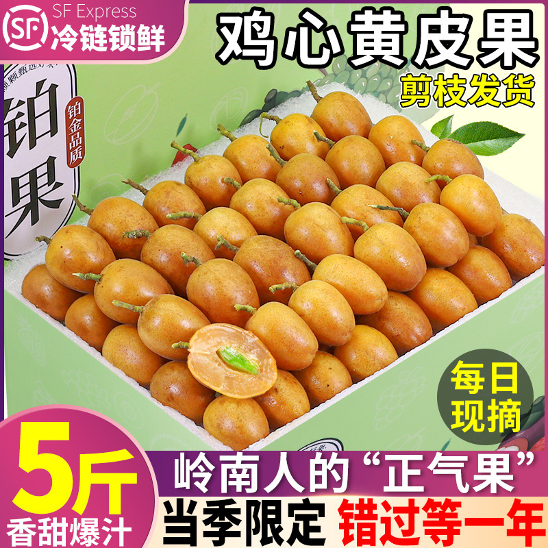 顺丰大果 8斤广东鸡心黄皮果新鲜黄弹子冰糖孕妇水果当季整箱包邮