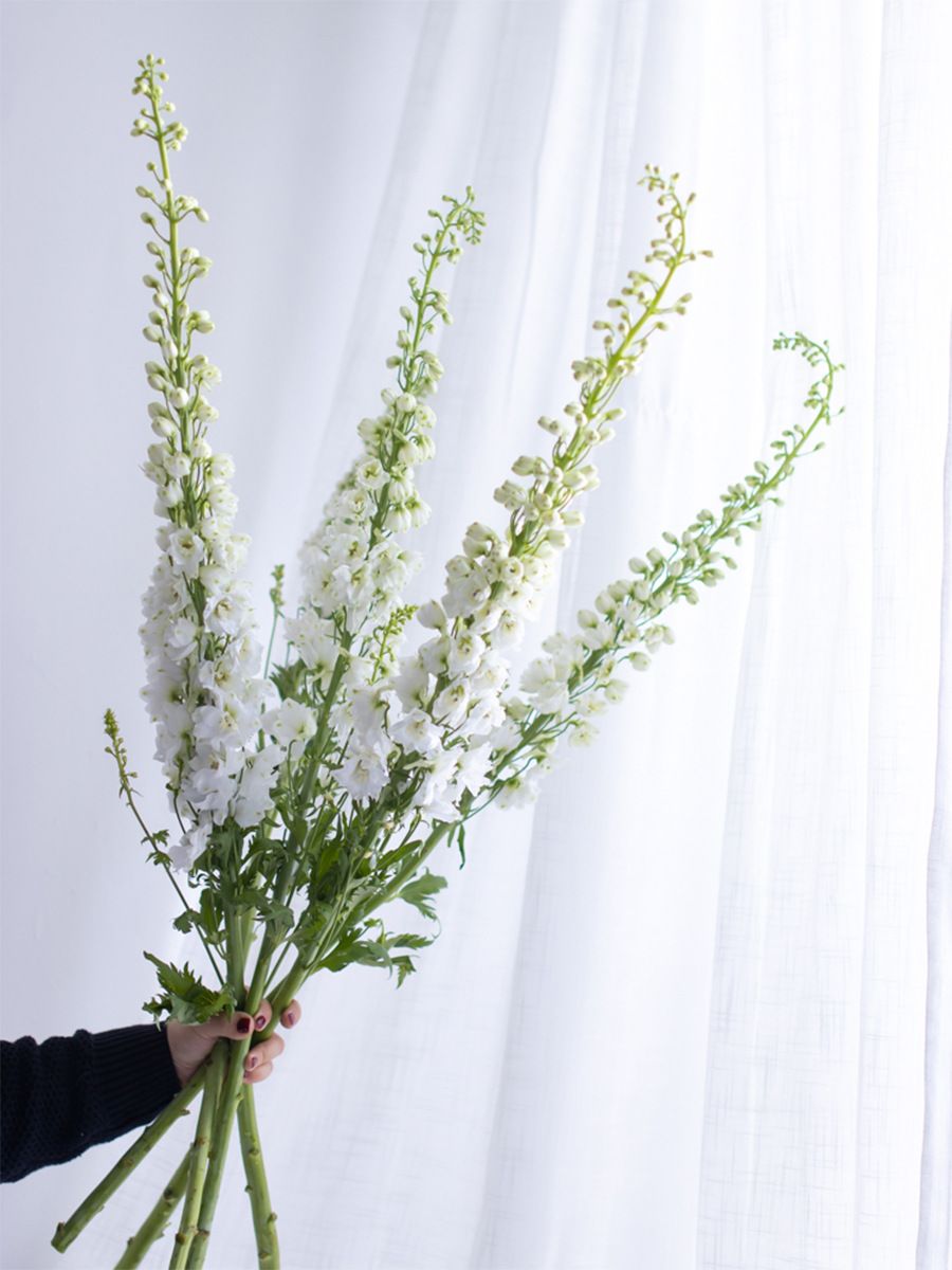 昆明大飞燕鲜花家用办公瓶插鲜切花婚礼花艺商务水养鲜花教师节礼