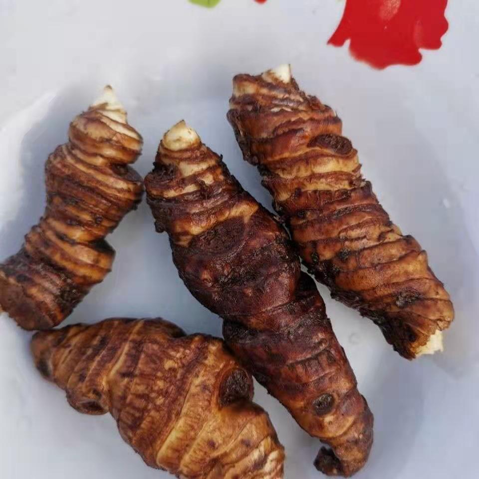 新鲜重楼 七叶一枝花 现挖现卖 可种植 金线重楼 蚤休-阿里巴巴