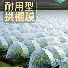 透明小拱棚膜塑料膜蔬菜大棚膜种菜农用薄膜育苗保温pe塑料布1米