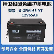 科华精卫蓄电池6-GFM-65-YT 12V65AH直流屏UPS电源铅酸免维护专用