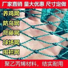 。防鸟网 养殖 户外鱼护网养鸡场围网加密种菜网绳小渔网尼龙绳网