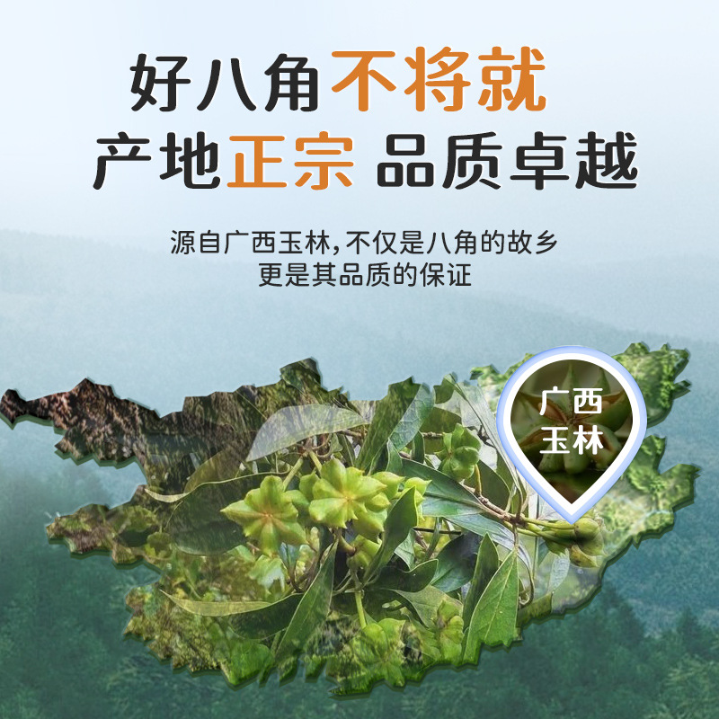 卡比兽八角大料45g 香辛料罐装烧炖卤料调味料家庭装香料佐料干货