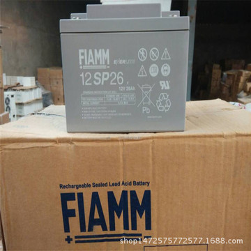 非凡2sla100/g2v100ah蓄电池意大利厂家非凡2v100ah-阿里巴巴