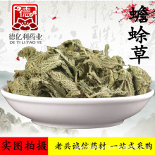 老兵诚信中药材批发 蛤蟆草 荔枝草 雪见草 新货无硫 一件代发货